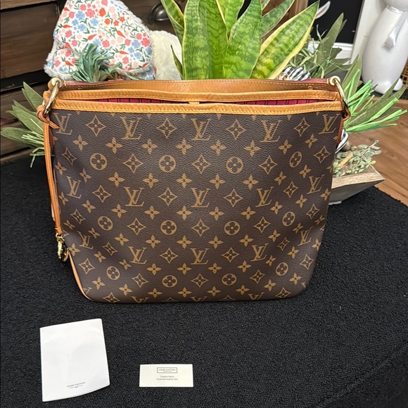 π― Authentic Louis Vuitton Delightful & Pivione Monogram Shoulder Bag - Picture 3 of 17